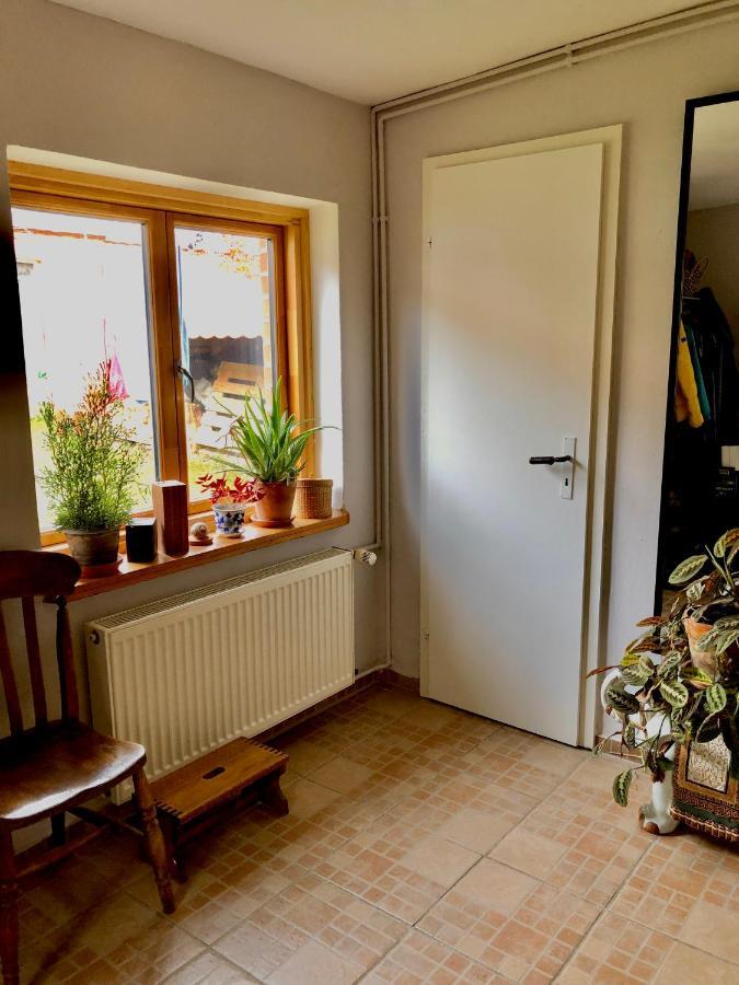 Probsteierhagen Gemuetliches Studio-Apartment In Ostseenaehe - Cosy Wulfi מראה חיצוני תמונה