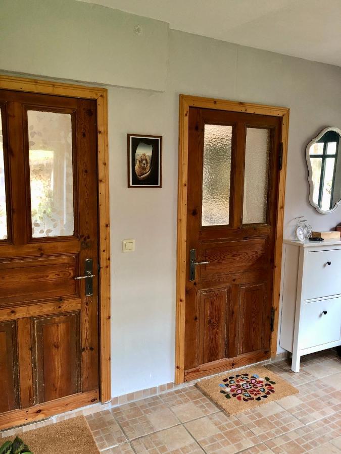 Probsteierhagen Gemuetliches Studio-Apartment In Ostseenaehe - Cosy Wulfi מראה חיצוני תמונה