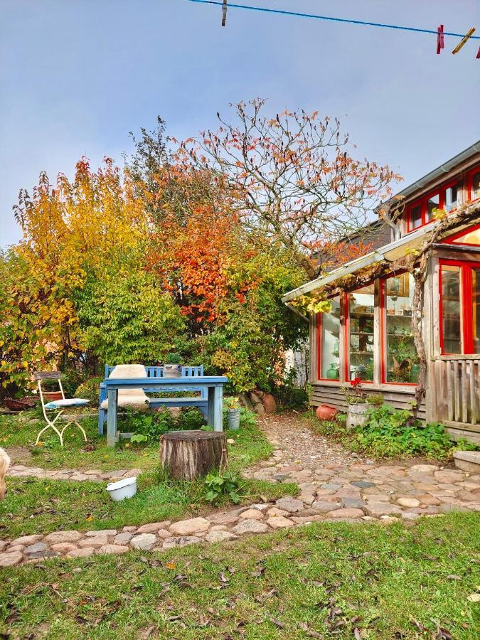 Probsteierhagen Gemuetliches Studio-Apartment In Ostseenaehe - Cosy Wulfi מראה חיצוני תמונה