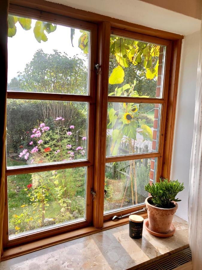 Probsteierhagen Gemuetliches Studio-Apartment In Ostseenaehe - Cosy Wulfi מראה חיצוני תמונה